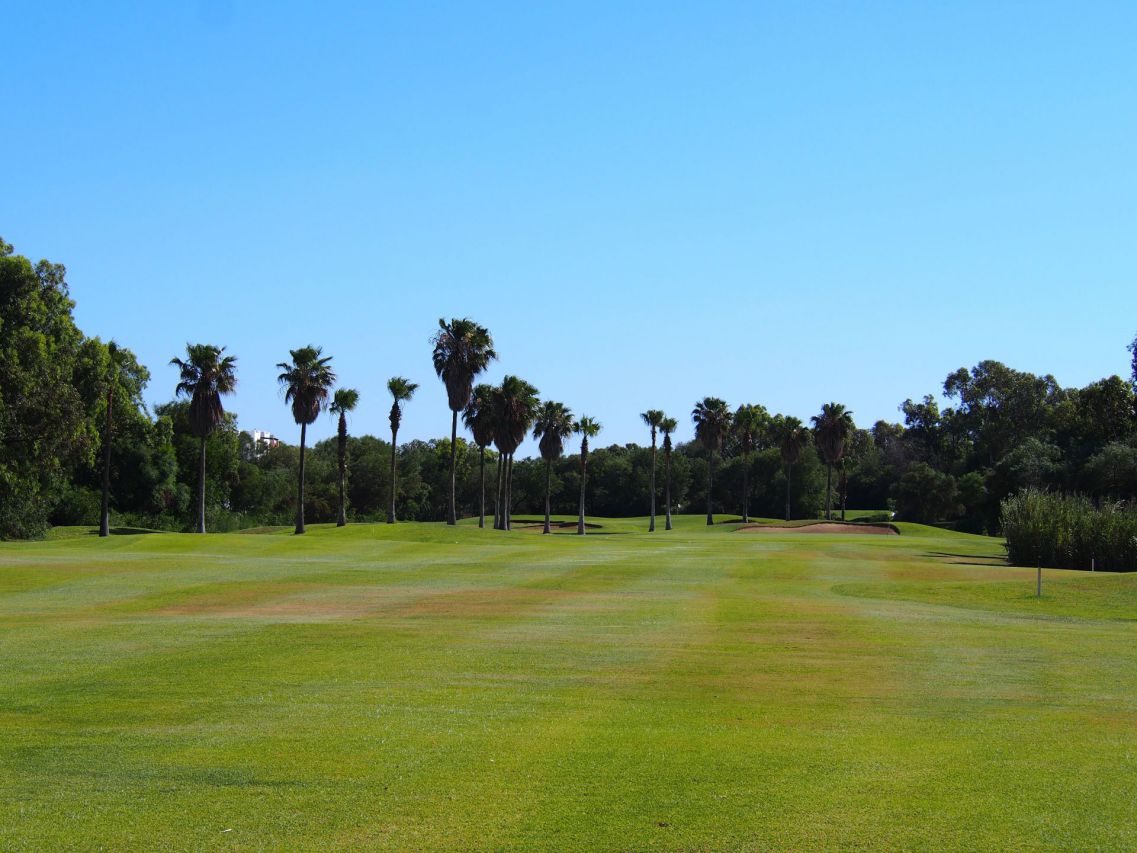 関東ゴルフ会員権取引業　ゴルフをより便利に楽しむための活用法